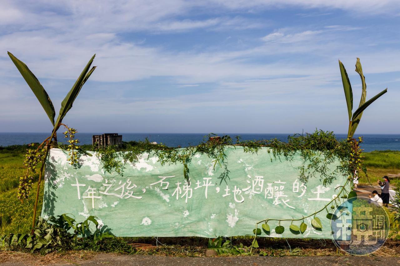 今年是花蓮石梯坪的水梯田復耕第10年，曾經消失的海稻米重回土地，古老的地酒也回來了。