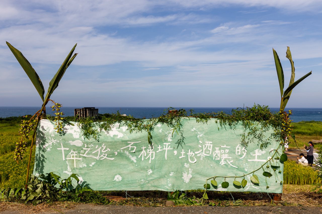 今年是花蓮石梯坪的水梯田復耕第10年,曾經消失的海稻米重回土地,古老的地酒也回來了。
