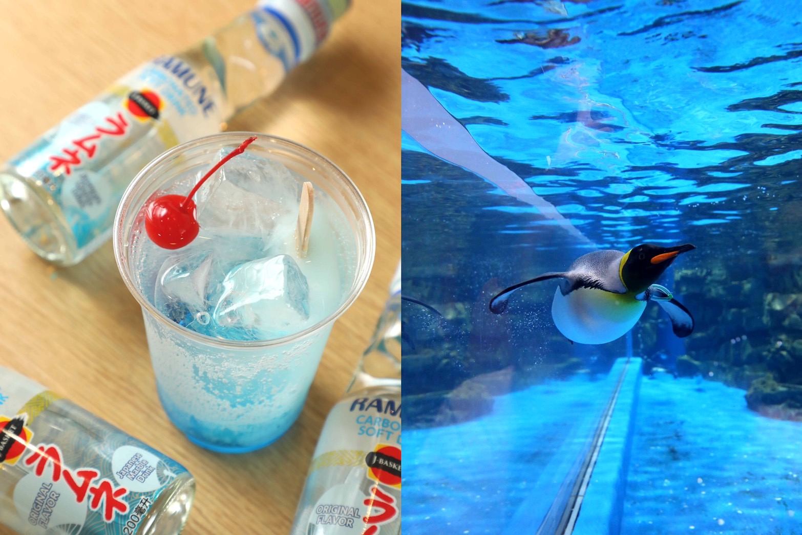 「Xpark」水族館舉辦涼夏祭，除了旅客，館內動物們也參與其中。