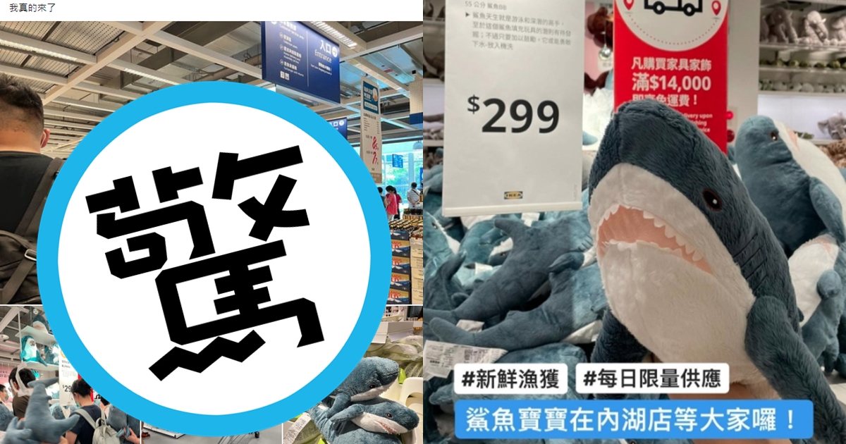 IKEA小鯊鯊限量開賣，今早內湖店出現搶購人潮。（翻攝自鯊魚俱樂部┌(。Д。)┐臉書、IKEA 宜家家居 內湖店臉書）
