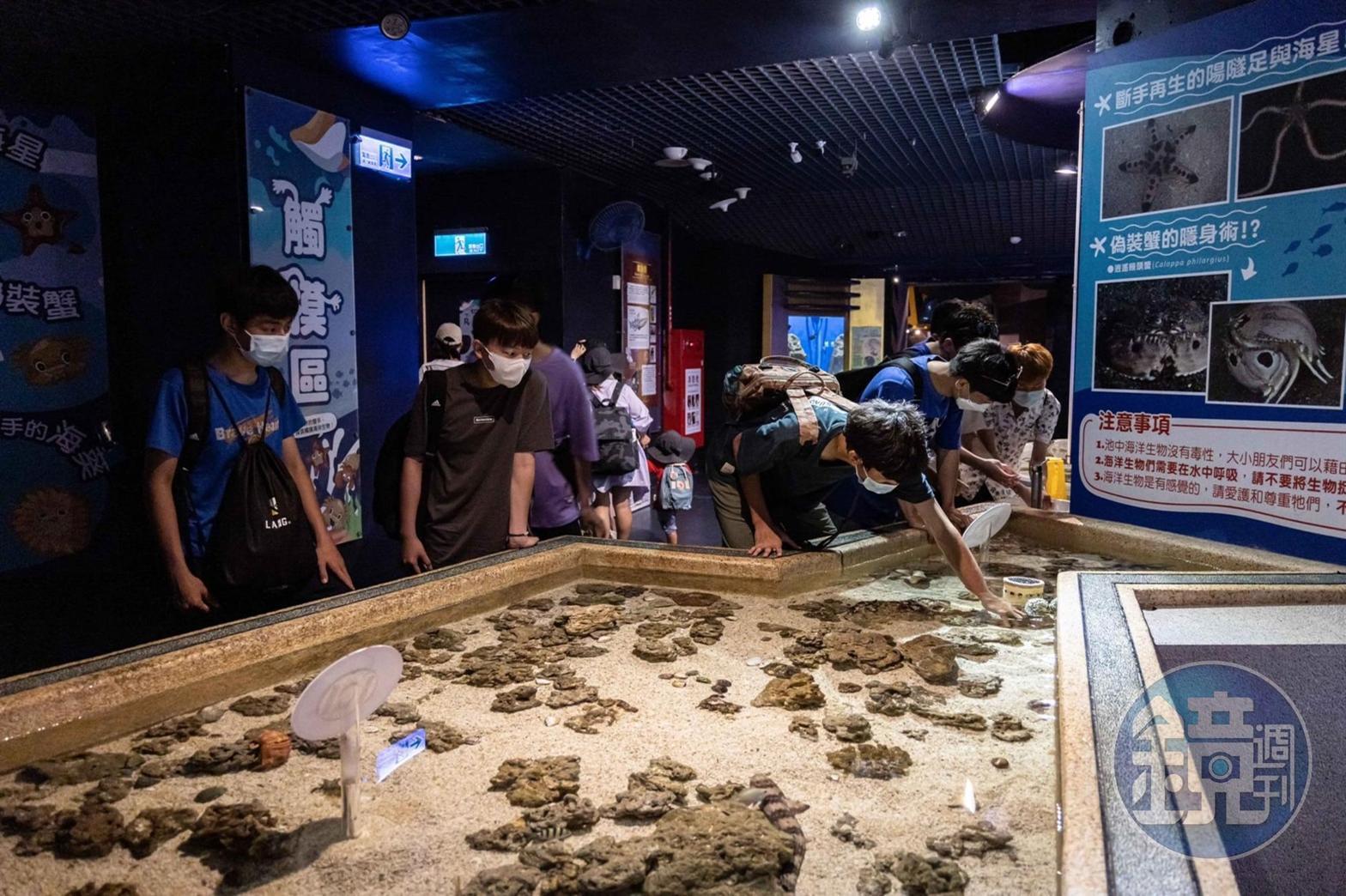 可以「伸手」的互動區，在手部清潔之後可以直接觸摸海星等生物。