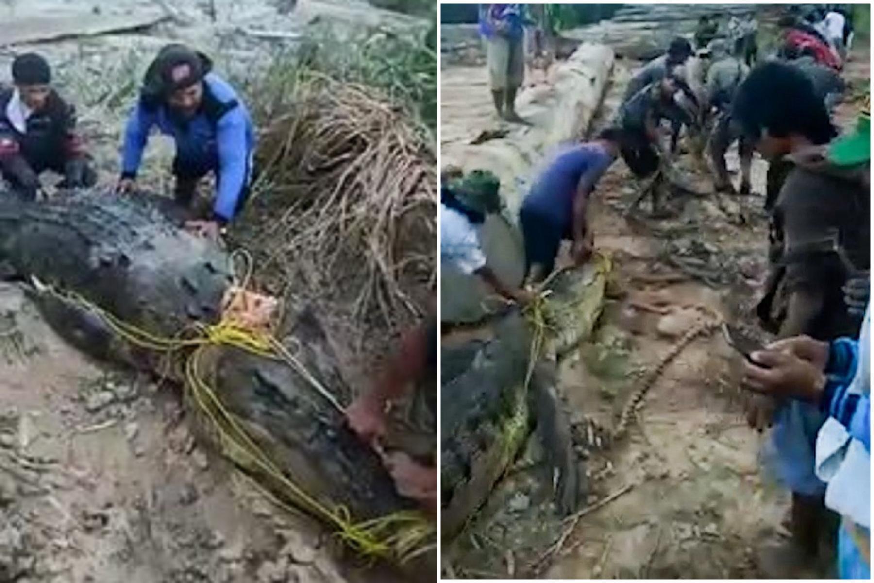 影片震撼！捕蝦男被8公尺鱷魚活吃慘死，屍首幾乎被消化成屎尿。（翻自guncelbilgin.com）