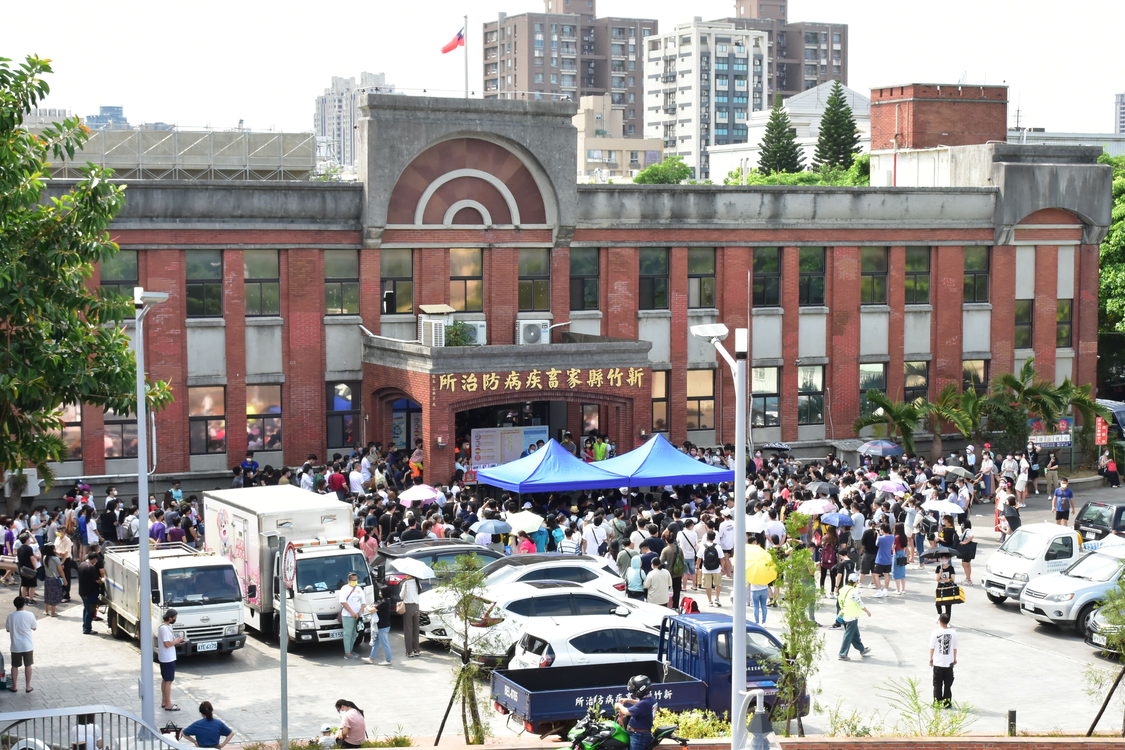 高達566人爭取擔任12隻布偶貓及4隻英國短毛貓的鏟屎官。（新竹縣政府提供）