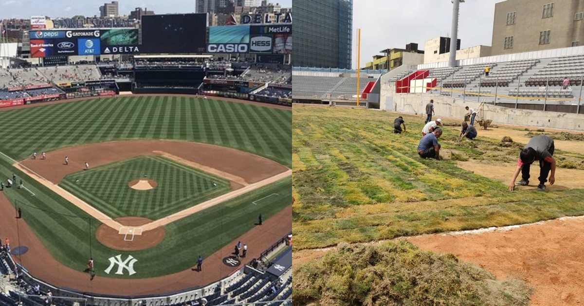 有人好奇詢問為何國外的草皮可以呈現格狀（左圖），專業鄉民出面解答，並指出新竹棒球場從草皮施工照（右圖）就能看出問題一堆。（翻攝自PTT、林智堅臉書）