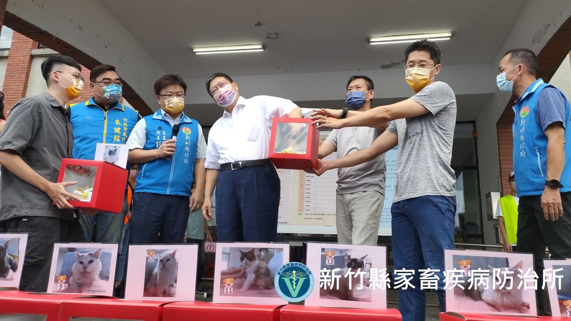 新竹縣家畜疾病防治所昨天釋出16隻品種貓開放民眾認養，由於太過踴躍吸引566人前來認養，採取抽籤方式，中籤率僅2.8%。（翻攝自新竹縣家畜疾病防治所臉書）