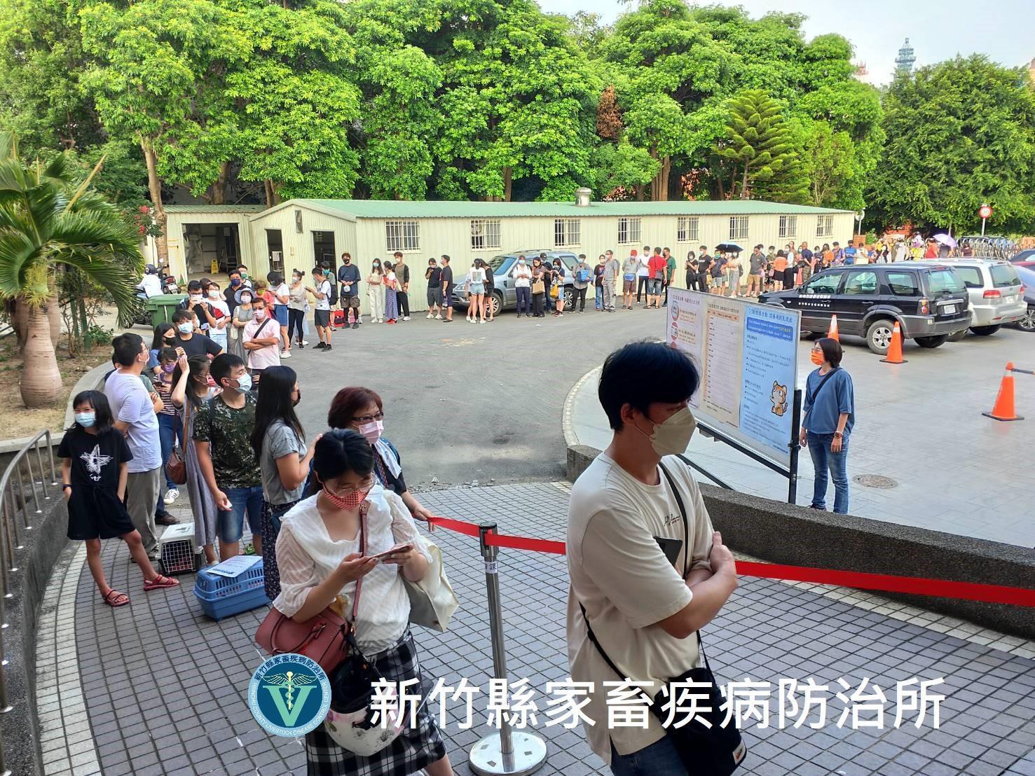 新竹縣家畜疾病防治所昨天舉辦認養活動，一共釋出16隻品種貓，沒想到卻吸引大批民眾排隊搶著認養。（翻攝自新竹縣家畜疾病防治所臉書）
