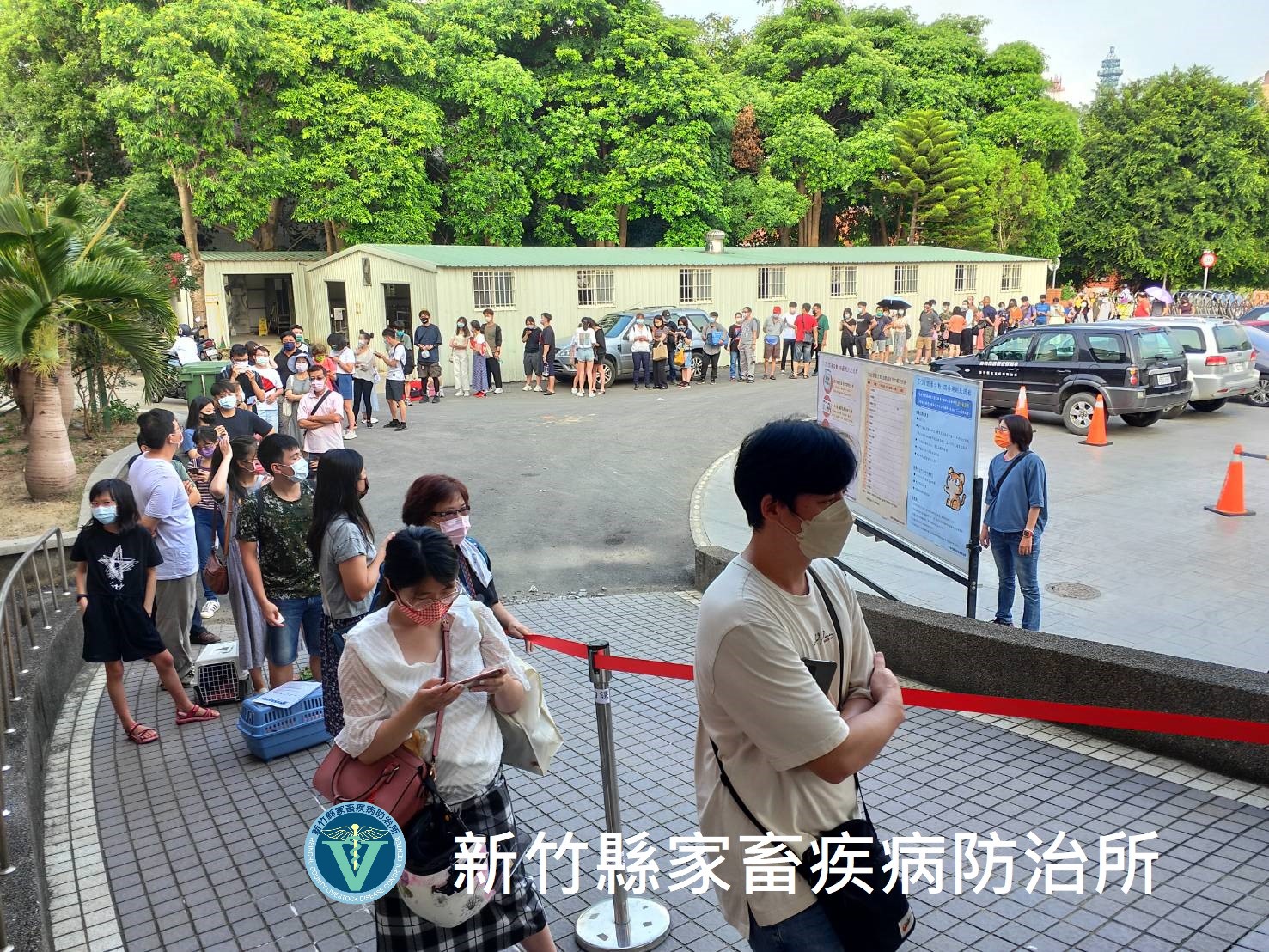 新竹縣家畜疾病防治所昨天舉辦認養活動，一共釋出16隻品種貓，沒想到卻吸引大批民眾排隊搶著認養。（翻攝自新竹縣家畜疾病防治所臉書）