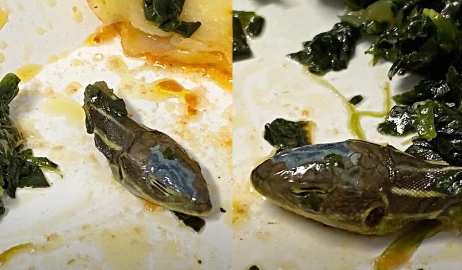 蛇頭和菜色顏色太相似,空服員吃到一半才發現。(翻攝紐約郵報)