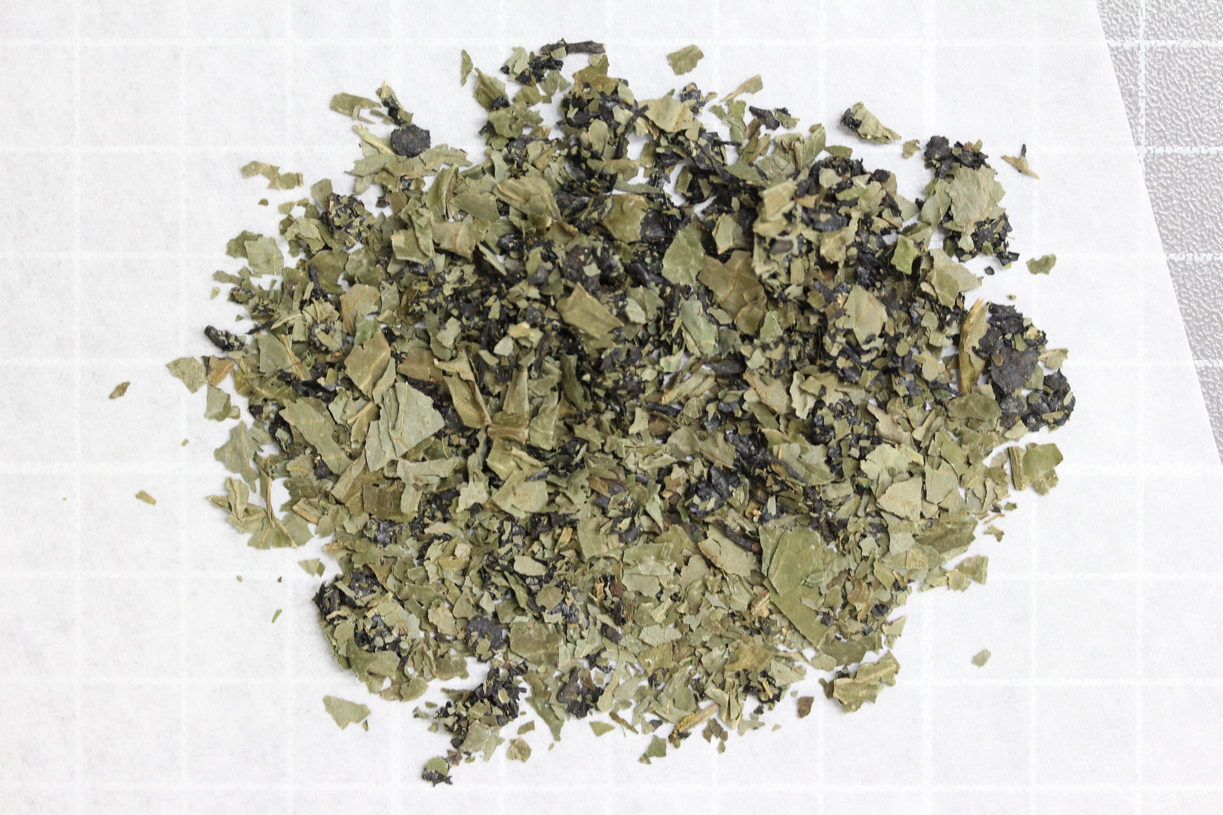 墨西哥鼠尾草是第三級毒品。（翻攝畫面）