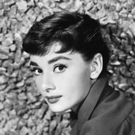 網友認為裴洛西激似奧黛麗赫本。(翻攝Facebook Audrey Hepburn)