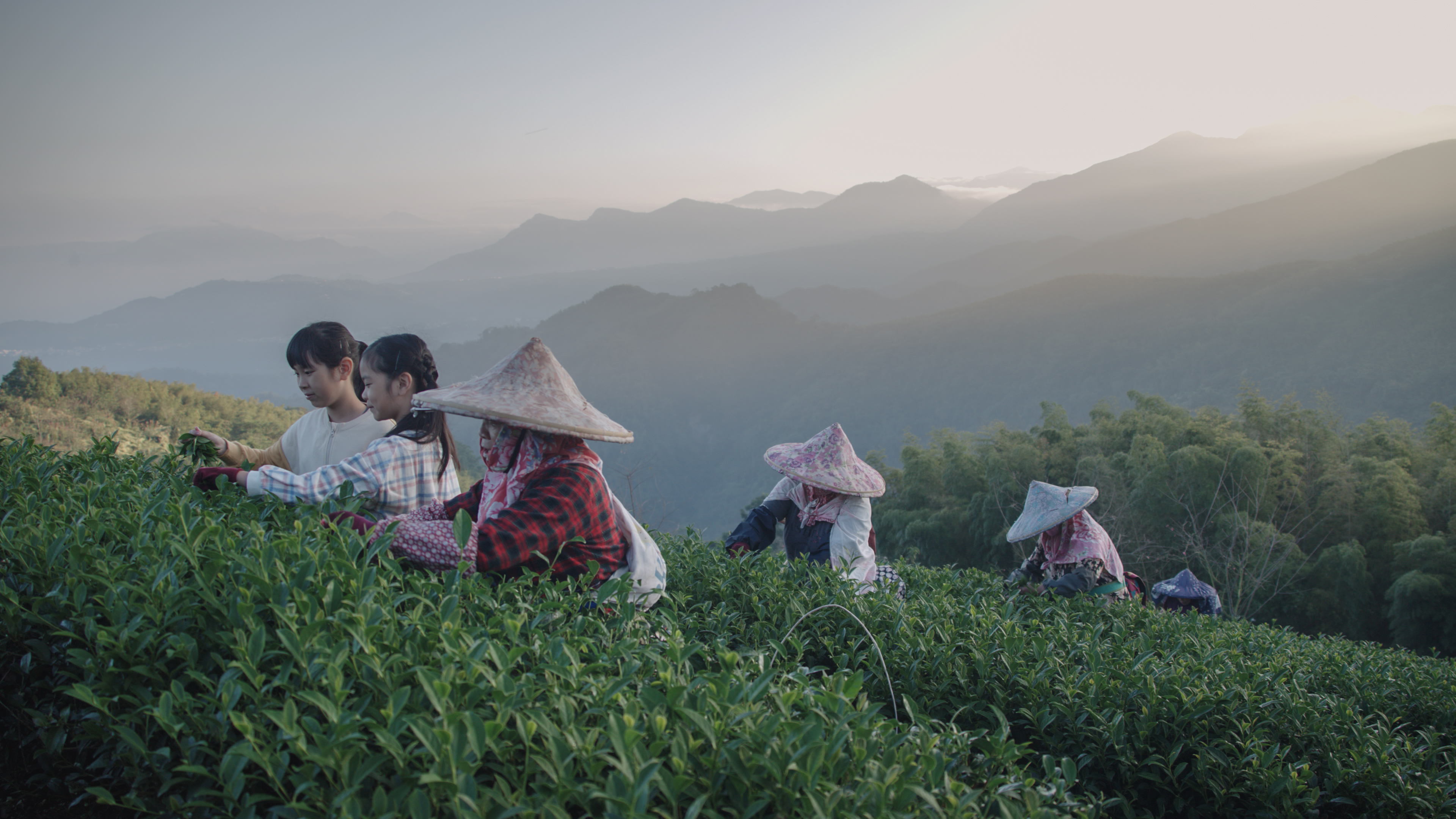 參與演出的孩子隨著拍攝團隊跋山涉水，學習採茶、生火和劈柴等，是難得的生活體驗。 （大逆光影音提供）