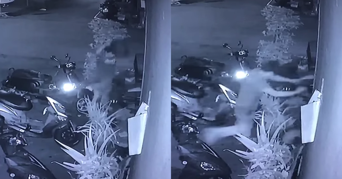 桃園市一名男子殘忍虐殺他人飼養在路邊的兔子。（翻攝自動保法律互助臉書）