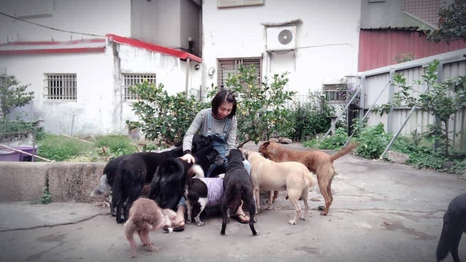 賴庭甄救援動物已16年，自己也認養了11隻狗和8隻貓。（賴庭甄提供）
