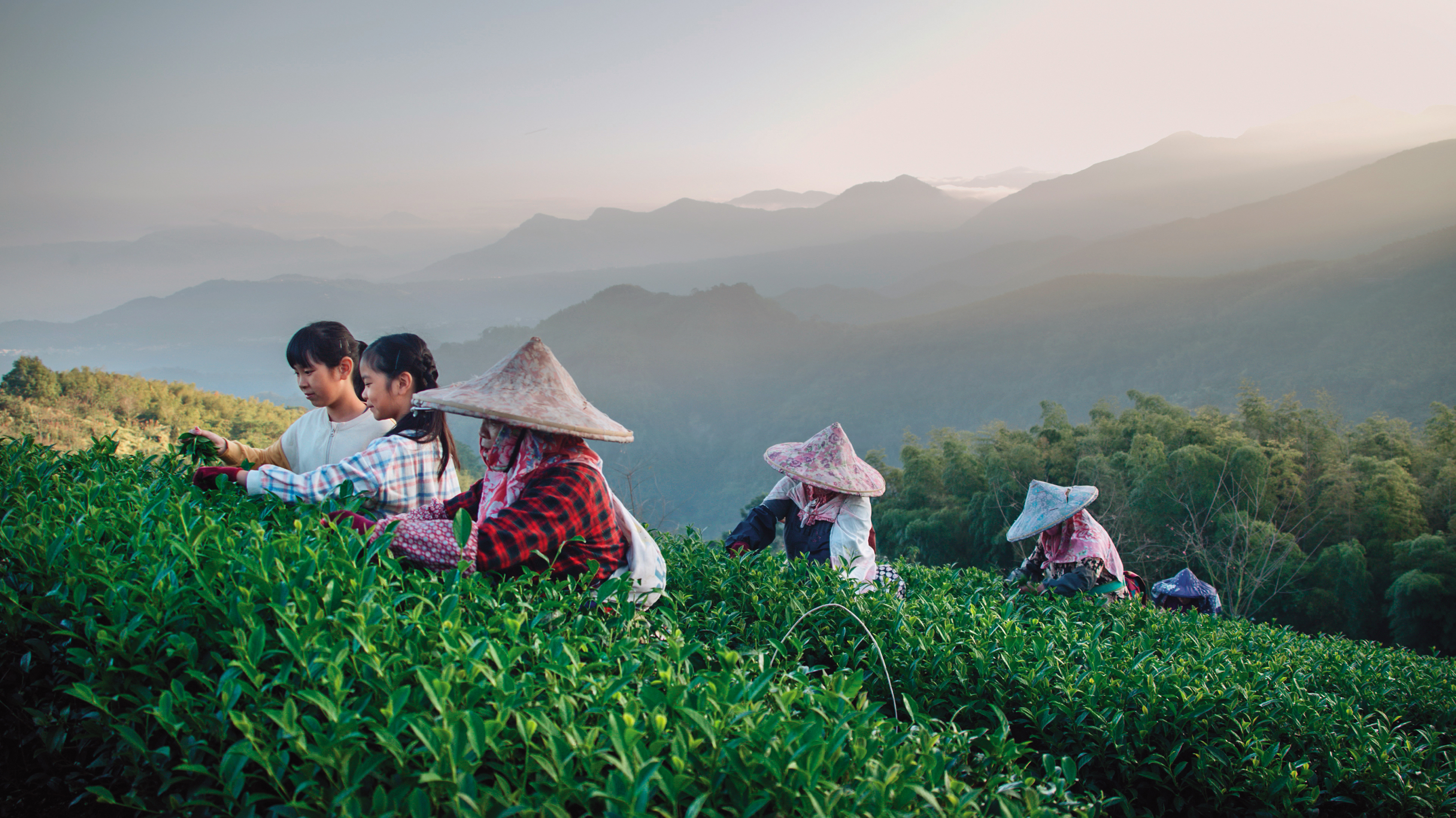 參與演出的孩子隨著拍攝團隊跋山涉水，學習採茶、生火和劈柴等，是難得的生活體驗。（大逆光影音提供）