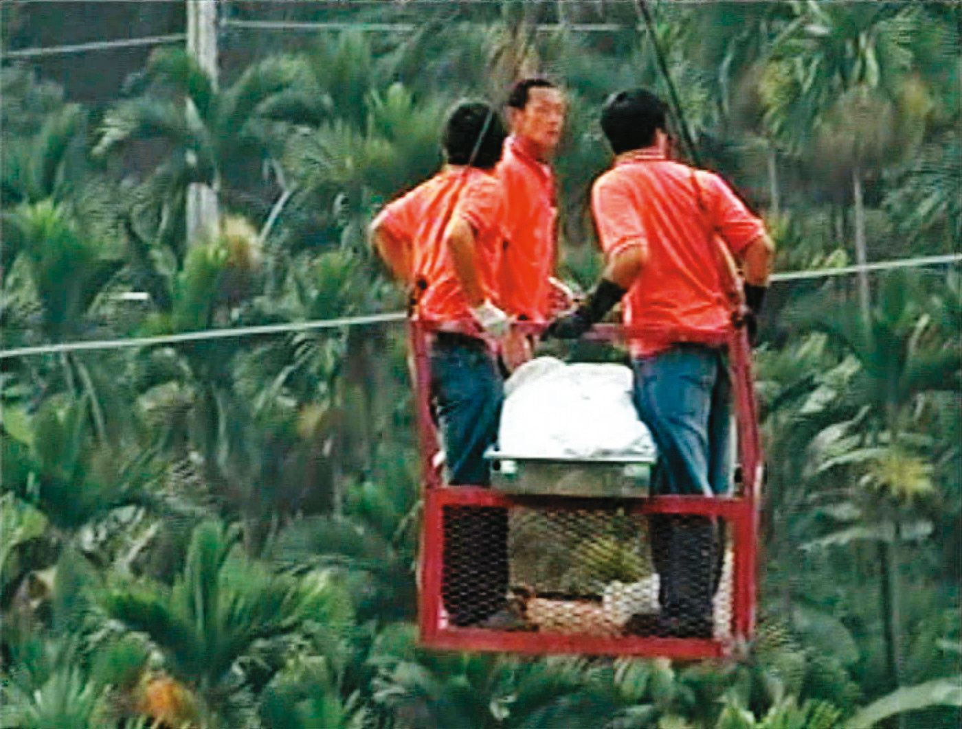 林姓死者被棄置於80公尺深的山谷,警方大費周章才將屍體搬運上來。(東森新聞提供)