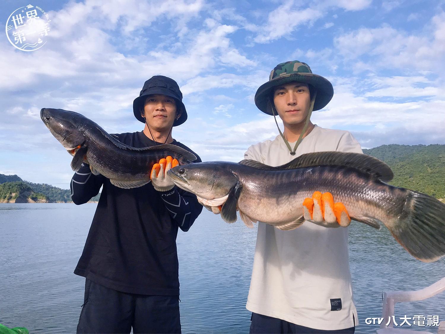 唐振剛、黃尚禾加入獵捕魚虎行動。(八大提供)