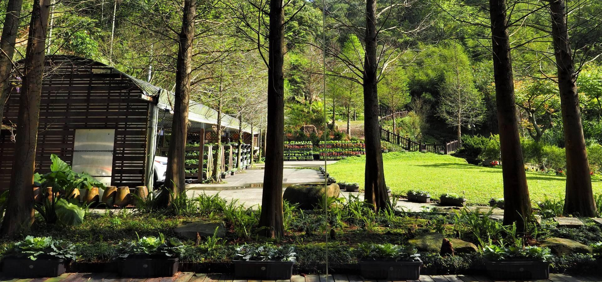 來到「白石森活休閒農場」，能夠用園區生產的當地當季食材，體驗老祖先教導的傳統美食，並了解醬缸文化融入有機在地食材。 （農遊超市提供）
