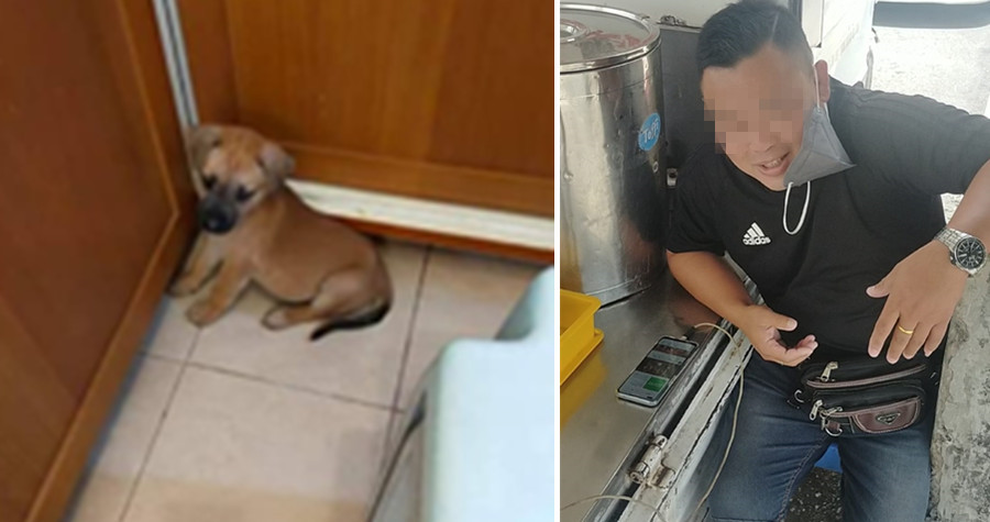 馬來西亞一名男子不僅將小狗吃掉，還說自己想吃更多狗。（翻攝「May Ccus」臉書）
