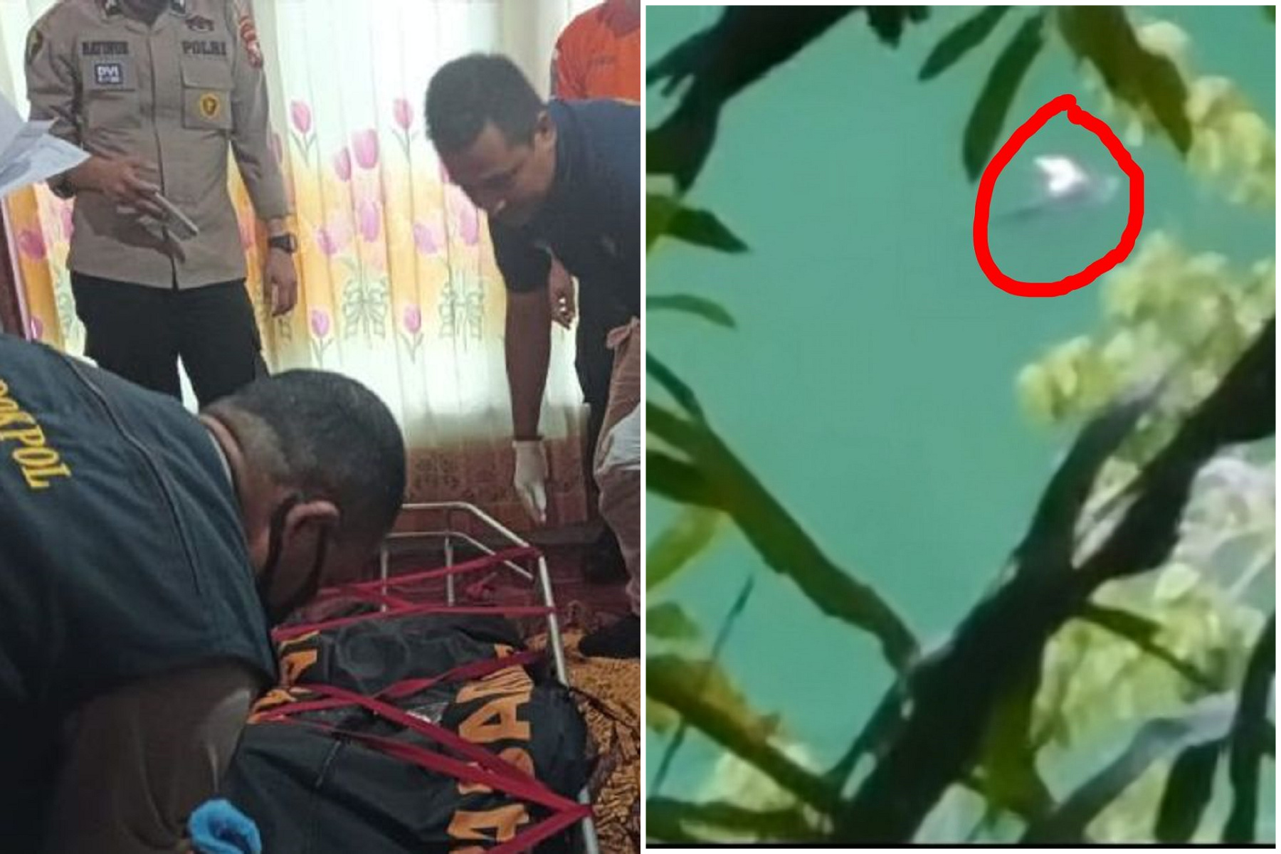 少年釣魚遭鱷魚攻擊慘死，斷頭缺手成浮屍漂3天。（翻自voi.id）