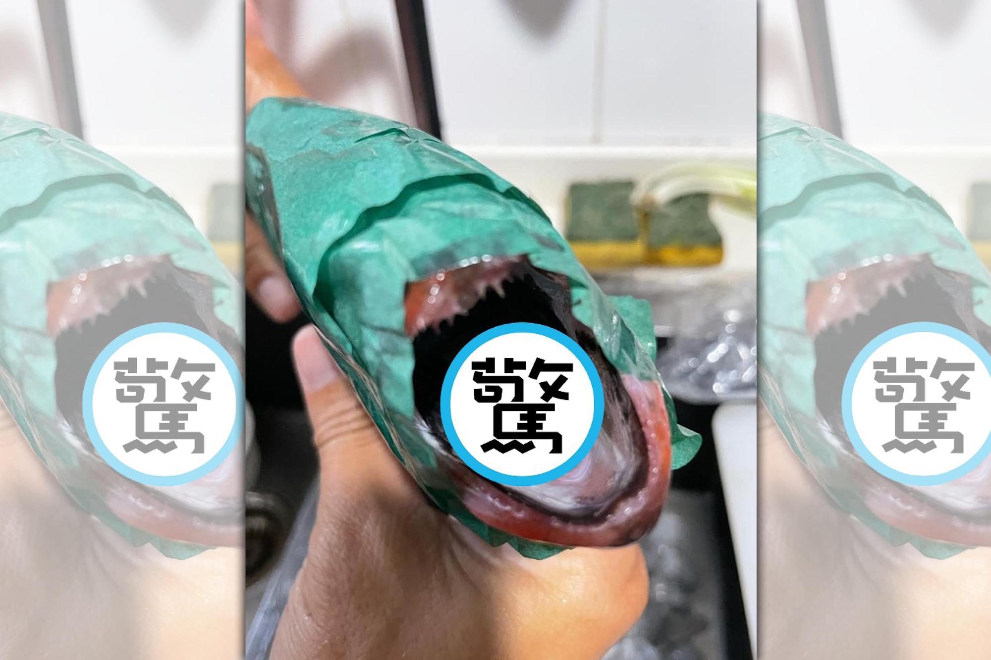 港男訂購了一條空運的赤鯥,沒想到打開魚的嘴巴,卻看見一隻肥美又巨大的寄生蟲。(翻攝自臉書社團香港壽司刺身關注組)