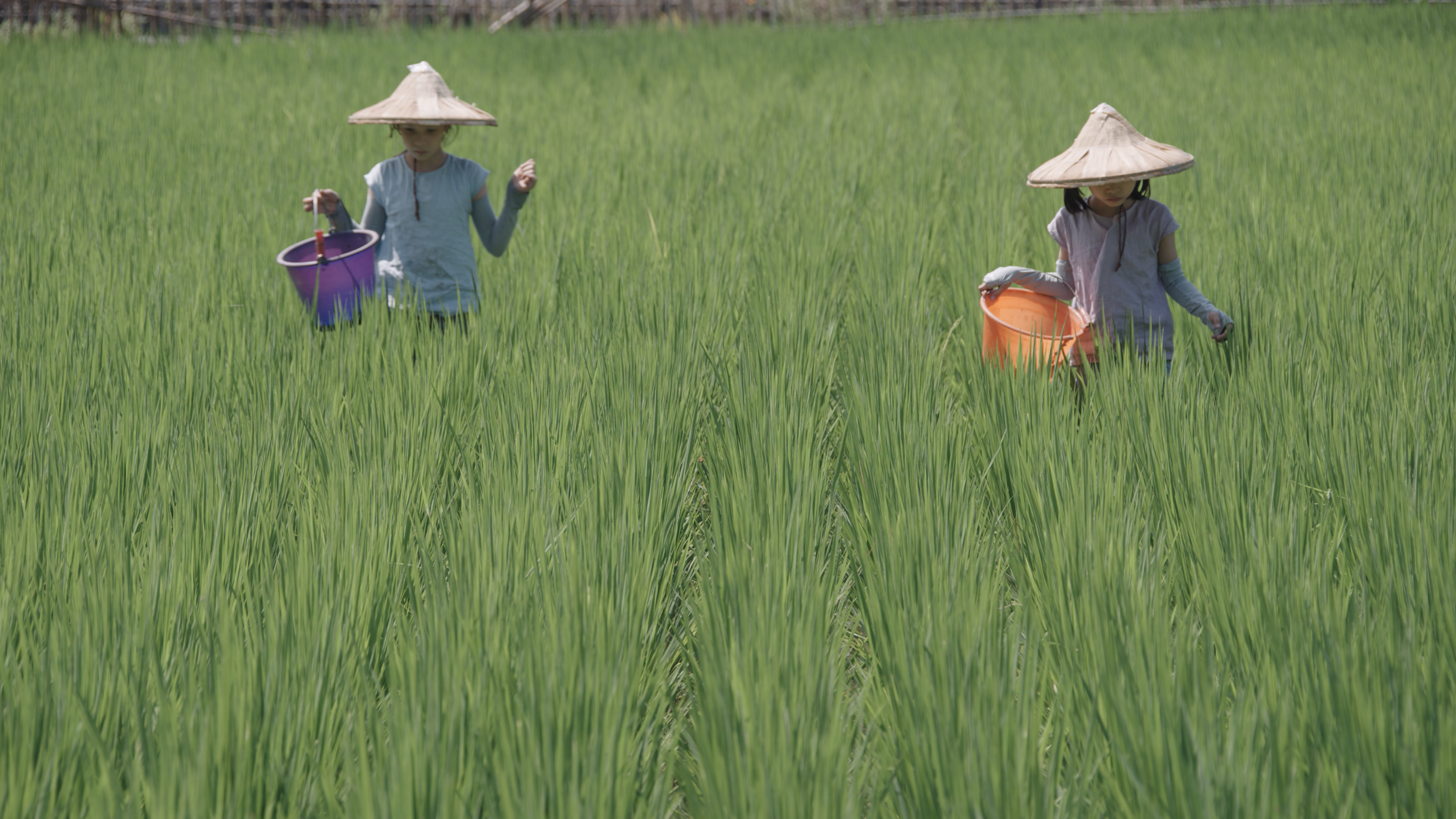  實境節目《叫我野孩子》安排素人兒童學習劈柴、種稻或捕魚，對拍攝團隊是一大挑戰。（大逆光影音提供）