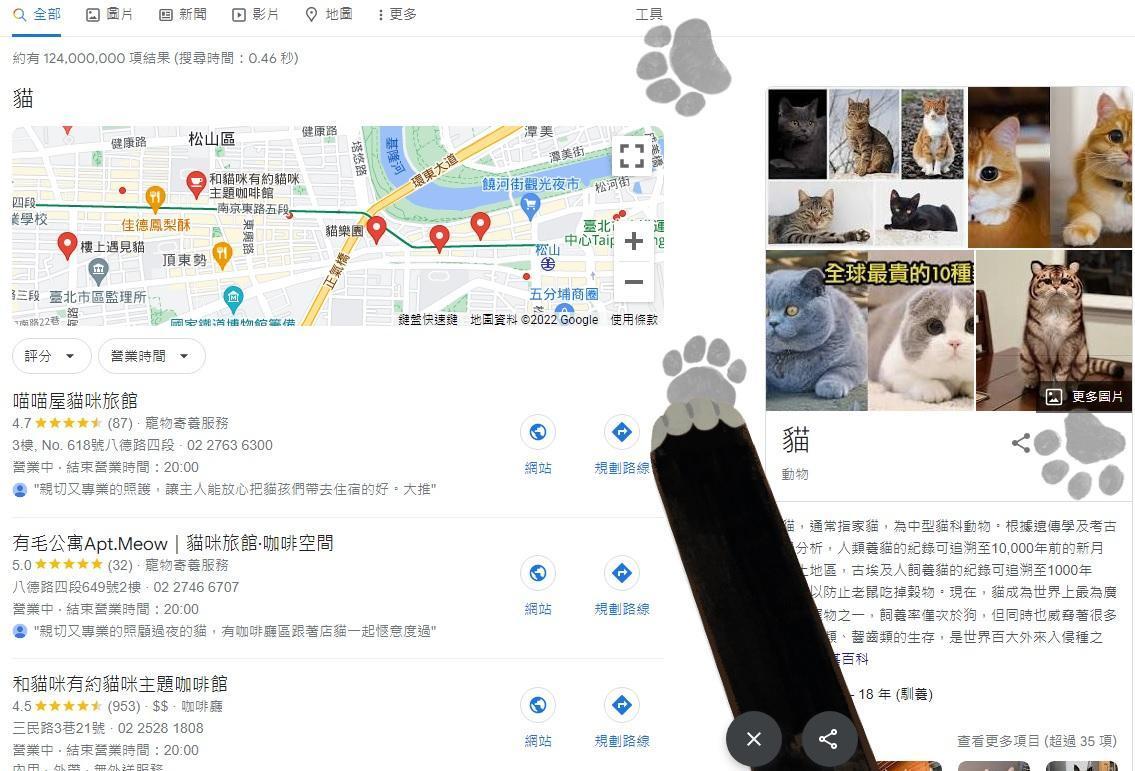 現在打開Google搜尋引擎，輸入「貓」或「狗」，就能獲得意外驚喜！（翻攝GOOGLE）