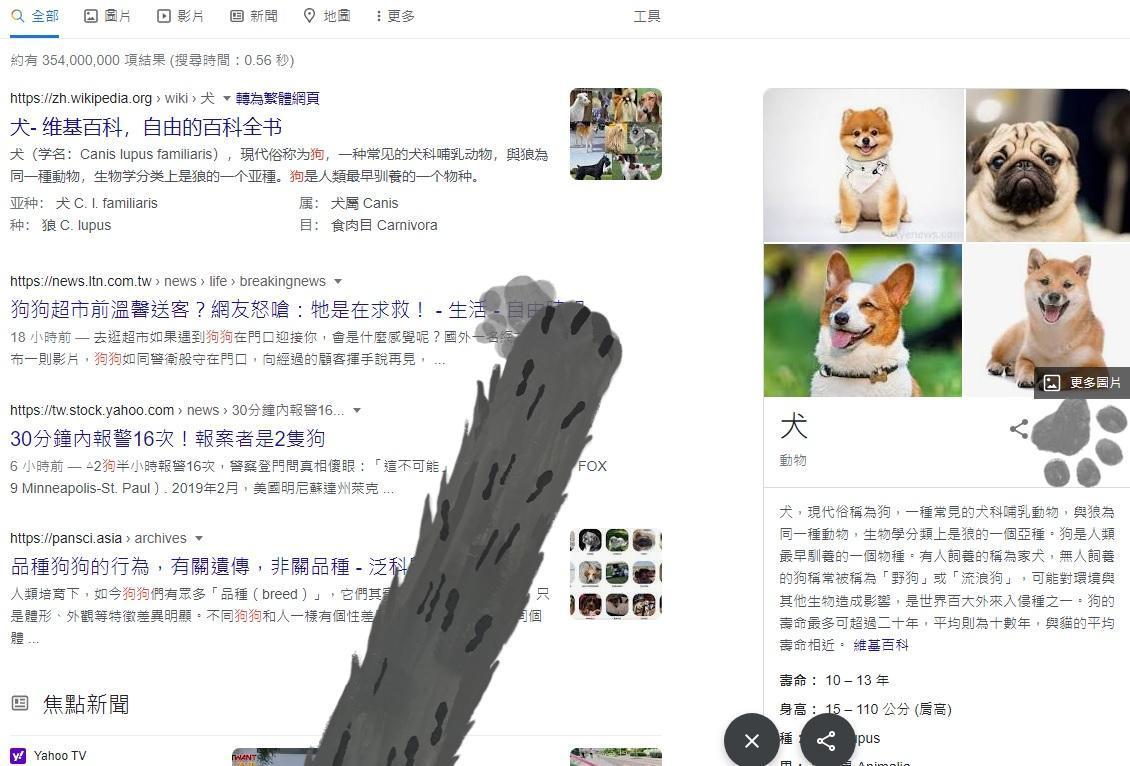 Google最近在搜尋功能埋下小彩蛋，只要搜尋「貓」或「狗」，就能觸發彩蛋。（翻攝GOOGLE）