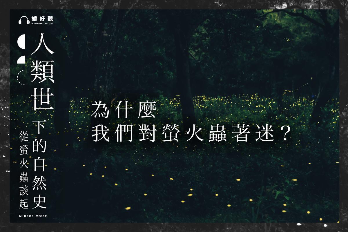 你為什麼喜歡螢火蟲？或許你曾想過這令你著迷的光點背後所代表的意義？（照片：徐振輔；鏡好聽提供）