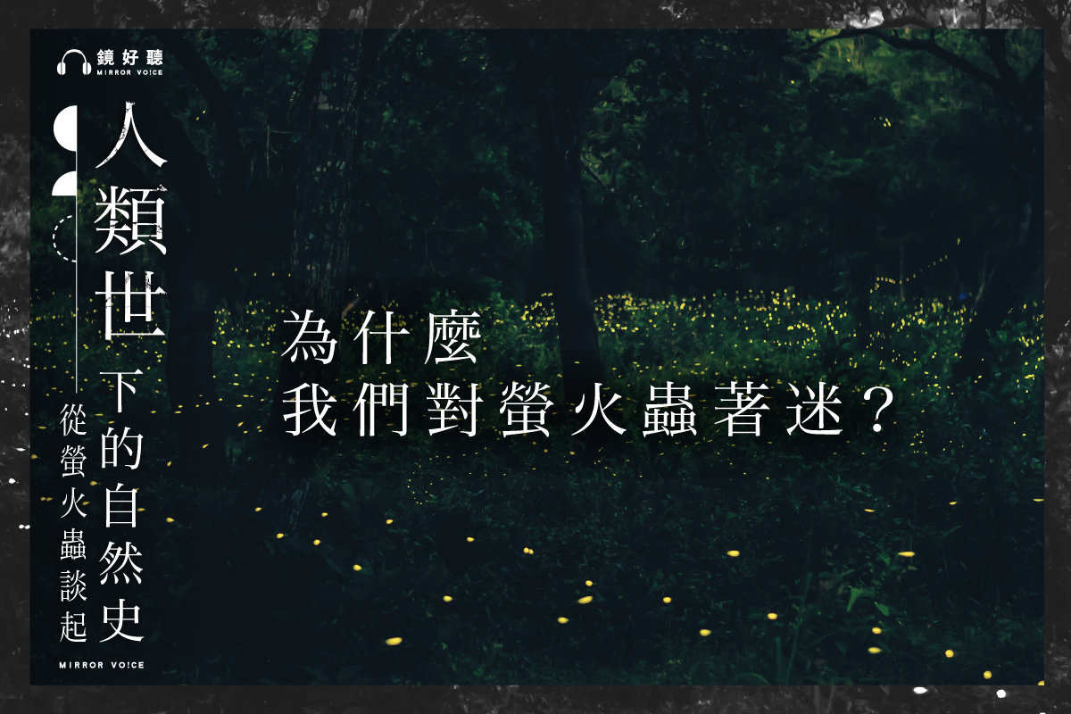 你為什麼喜歡螢火蟲?或許你曾想過這令你著迷的光點背後所代表的意義?(照片:徐振輔;鏡好聽提供)