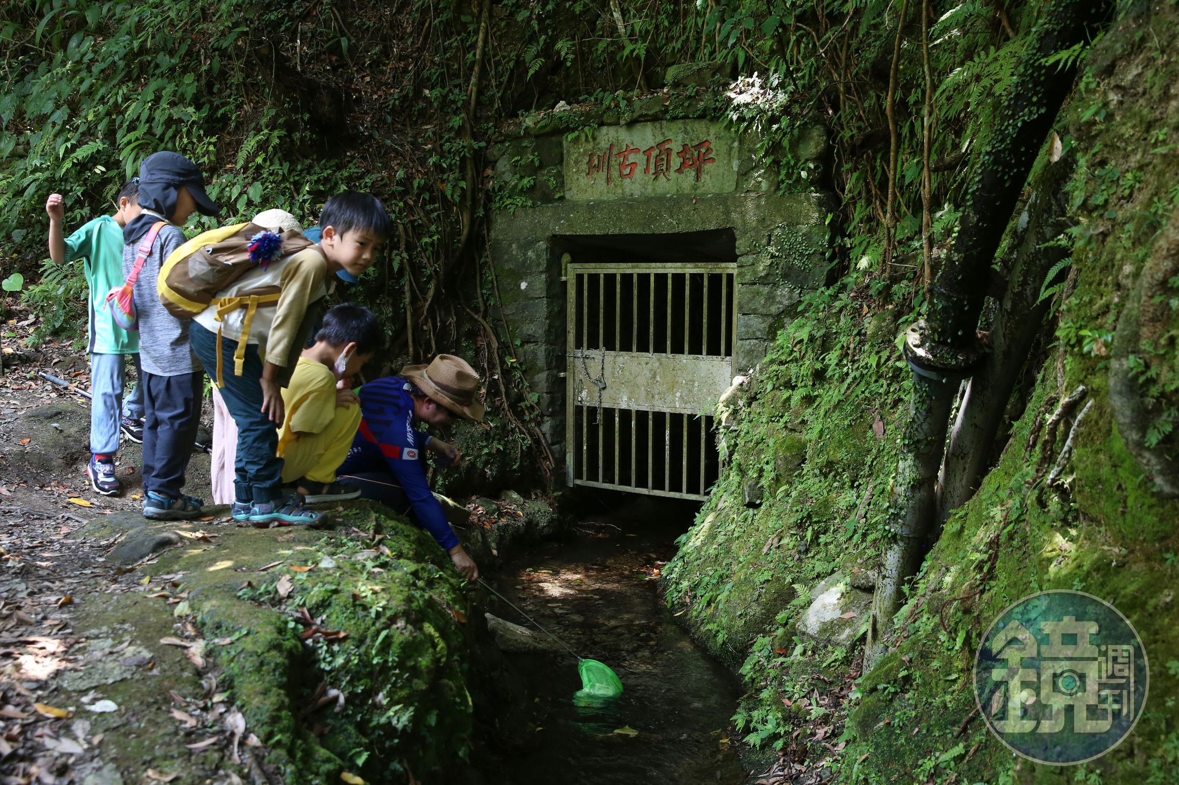 坪頂古圳中最古老的水圳是「坪頂舊圳」有180年歷史。