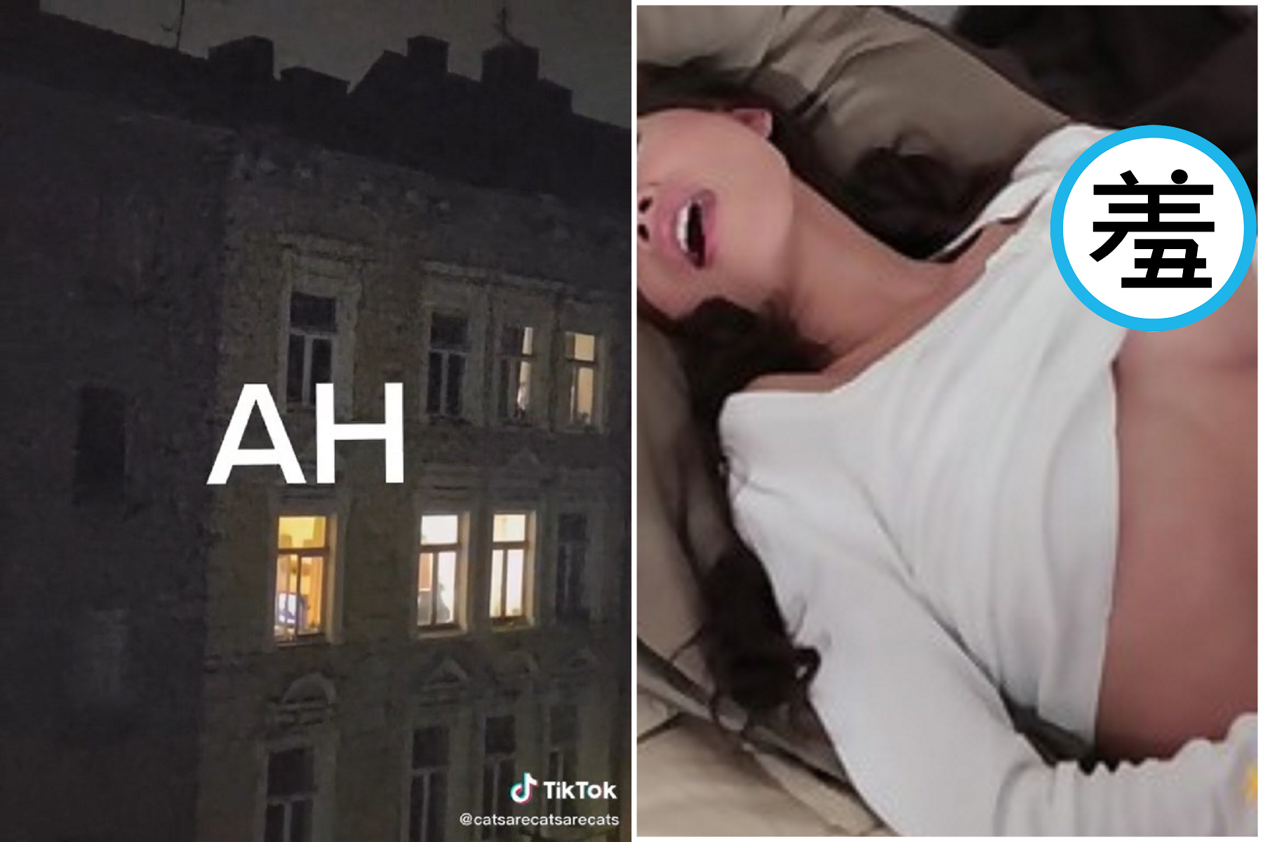 做愛春聲啼不住，夜半「啊啊」響徹雲霄！整區鄰居全醒了。（翻自TikTok+示意圖）
