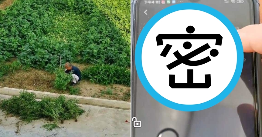87歲老翁接觸智慧型手機之前把菜園照顧得很好，沉迷手機後讓女兒決定開啟限制設定。（翻攝《九派新聞》）