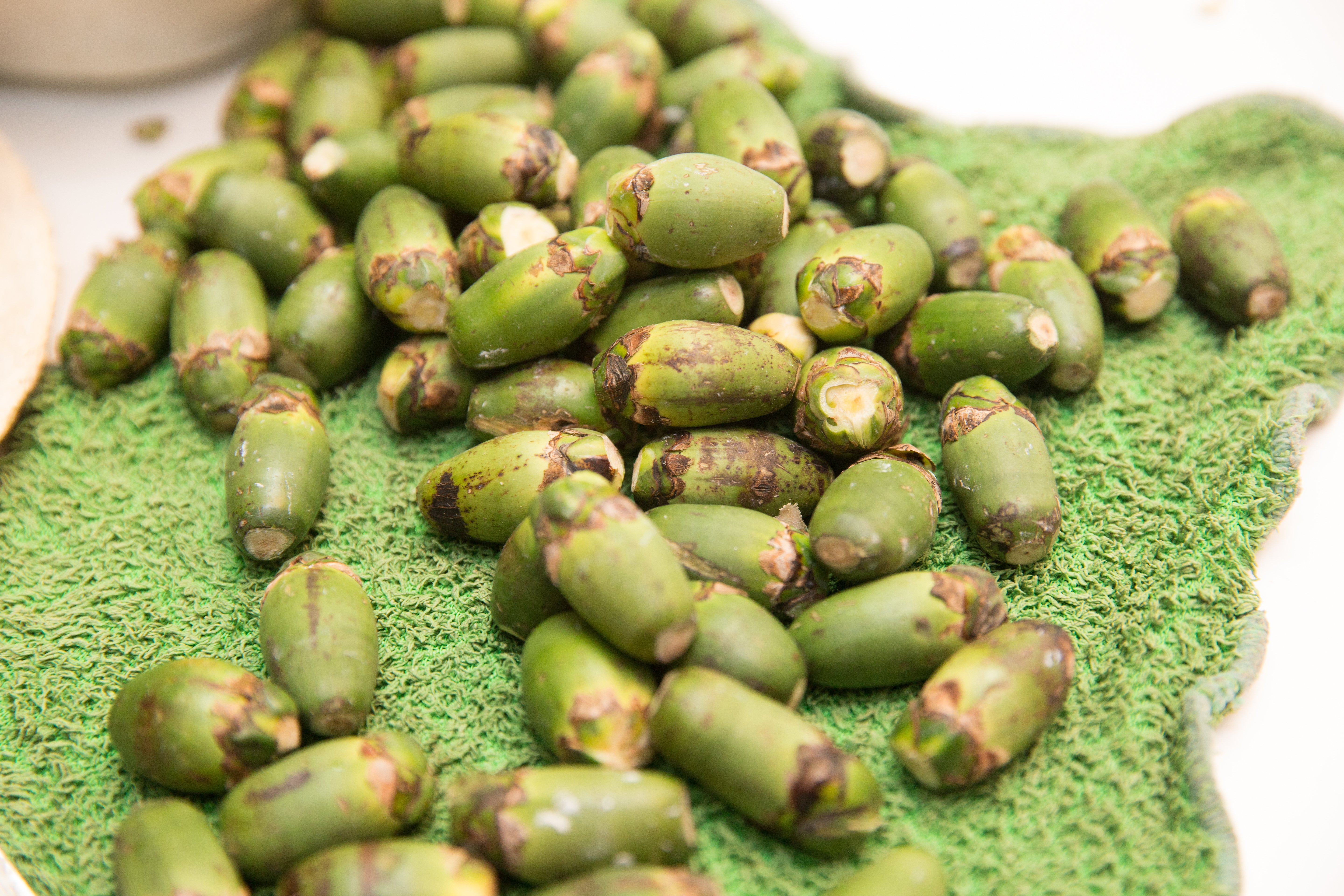 南投縣一名小貨車駕駛酒駕被抓,卻辯稱是吃了45顆檳榔所致。(本刊資料照)