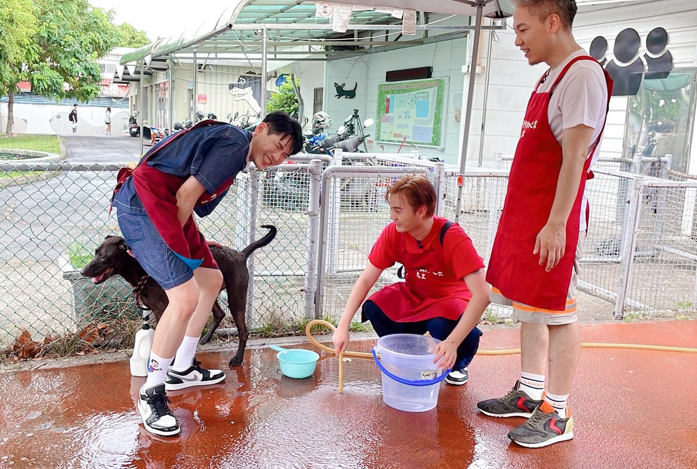 《娛樂超skr》小鹿、阿甘、謎之小姐姐、許富凱一起到板橋動物之家擔任ㄧ日志工。（民視提供）