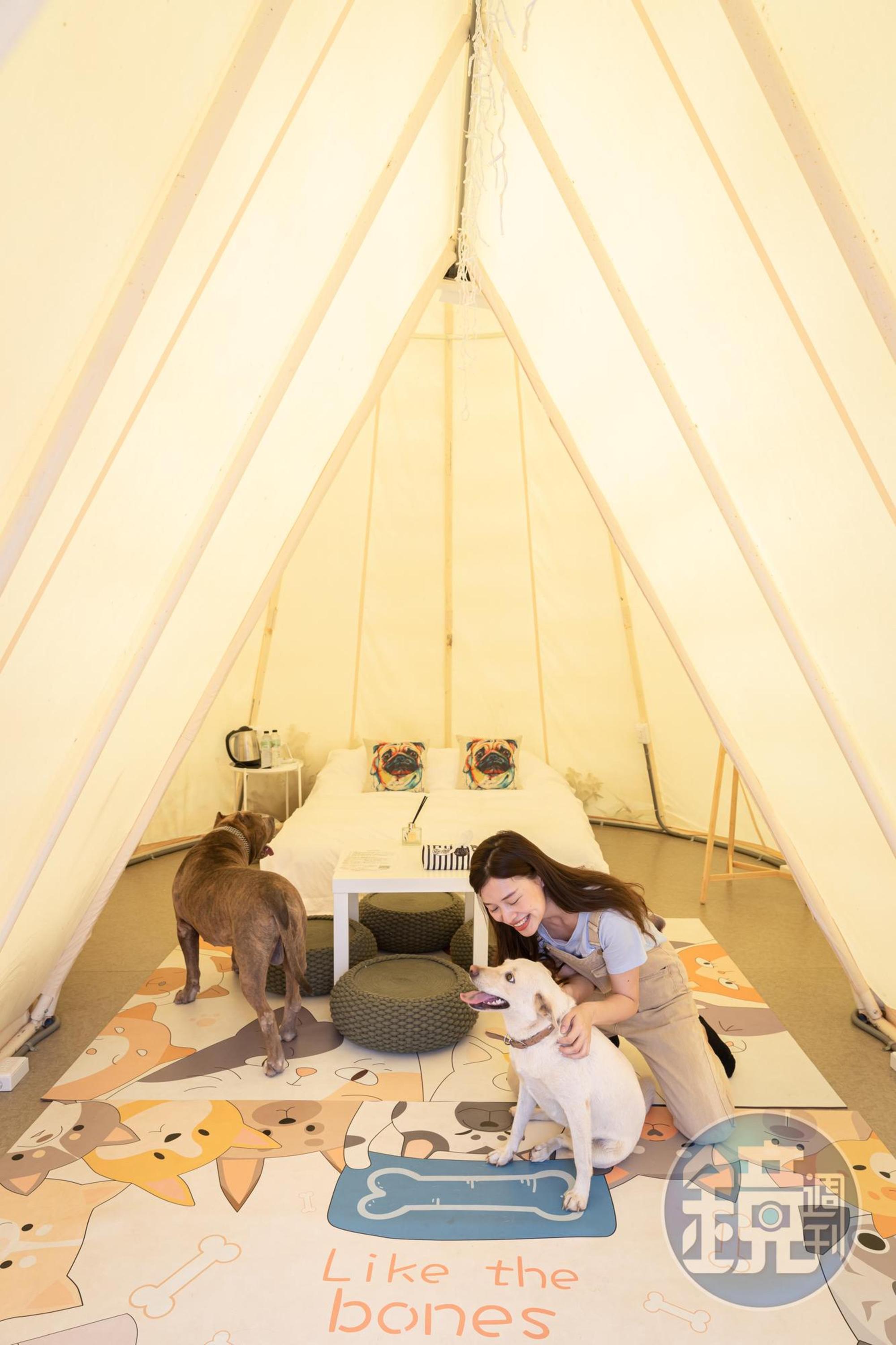 園區內提供3帳寵物友善空間，主人可以帶著毛小孩來大自然跑跳。