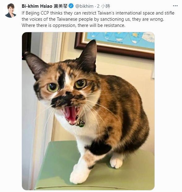 蕭美琴在推特回應被列為台獨頑固份子。(翻攝自蕭美琴推特)