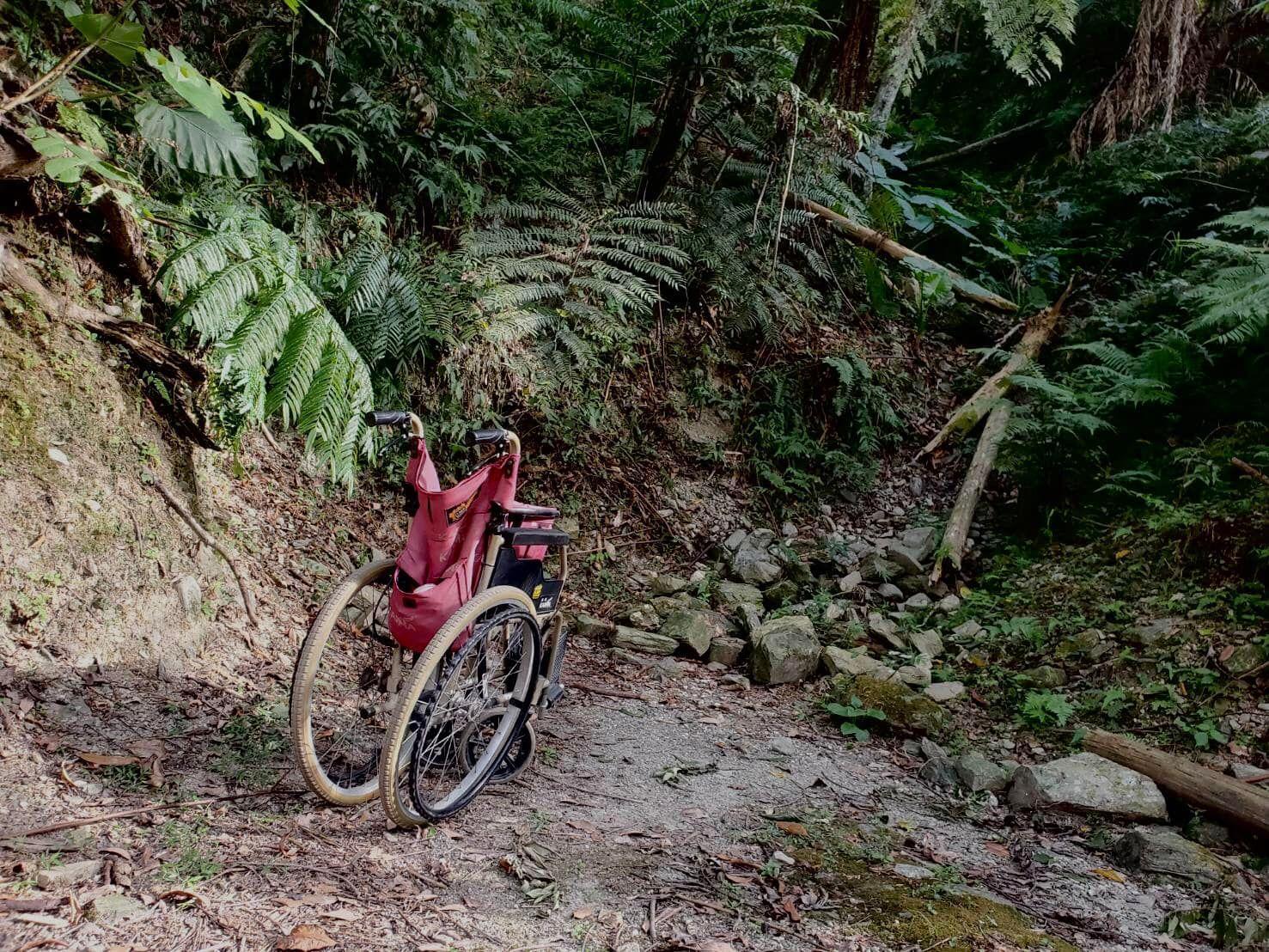 一名孝順的兒子背著半癱的母親登步道，孝心感動萬人。（翻攝自肉腳登山隊臉書社團）