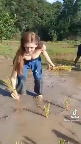 另外還有其他女生加入種田的行列。（翻自推特）