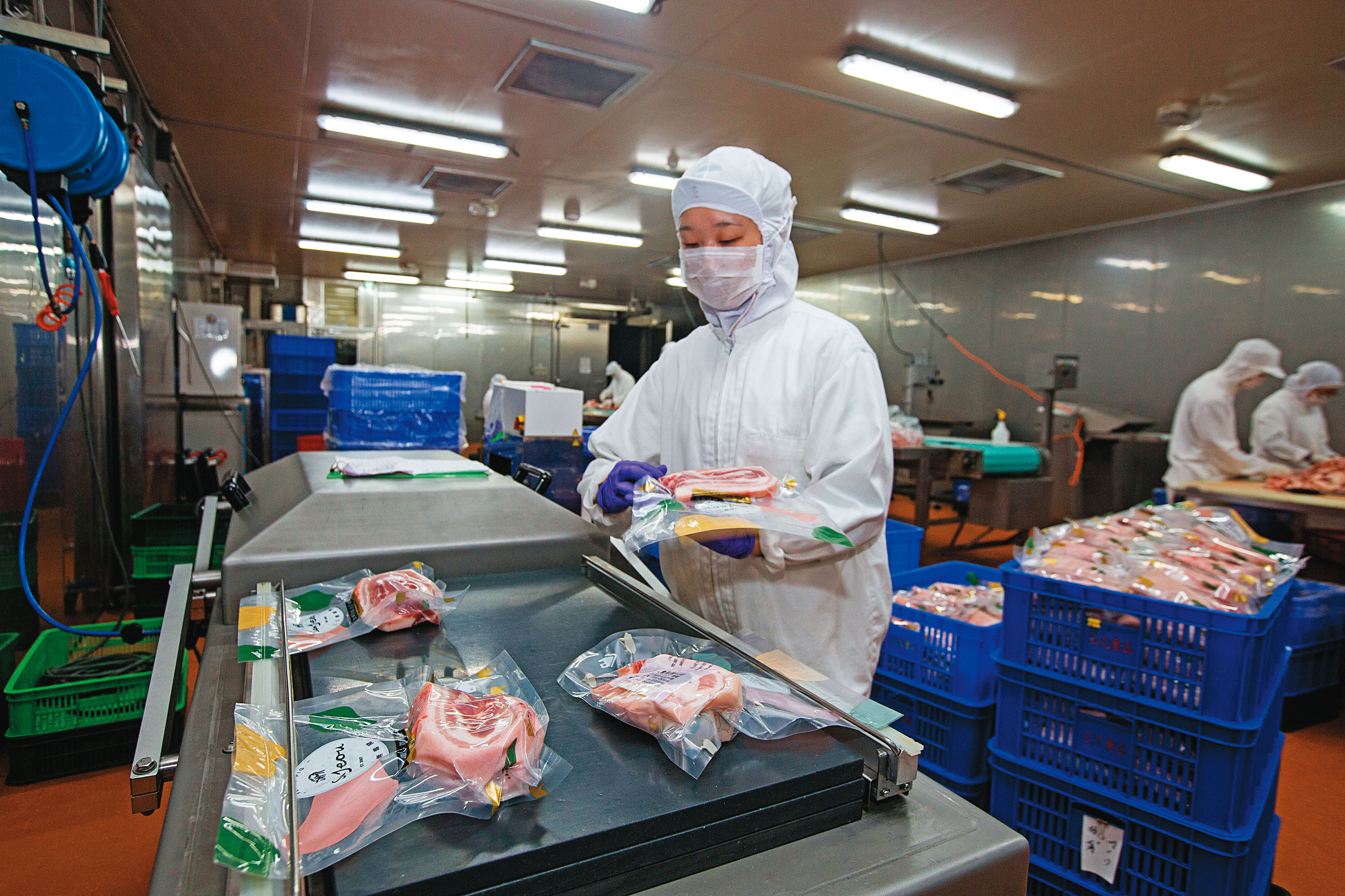 三久食品廠分切豬肉全程溫控在15℃，作業環境清潔程度達無塵室等級。