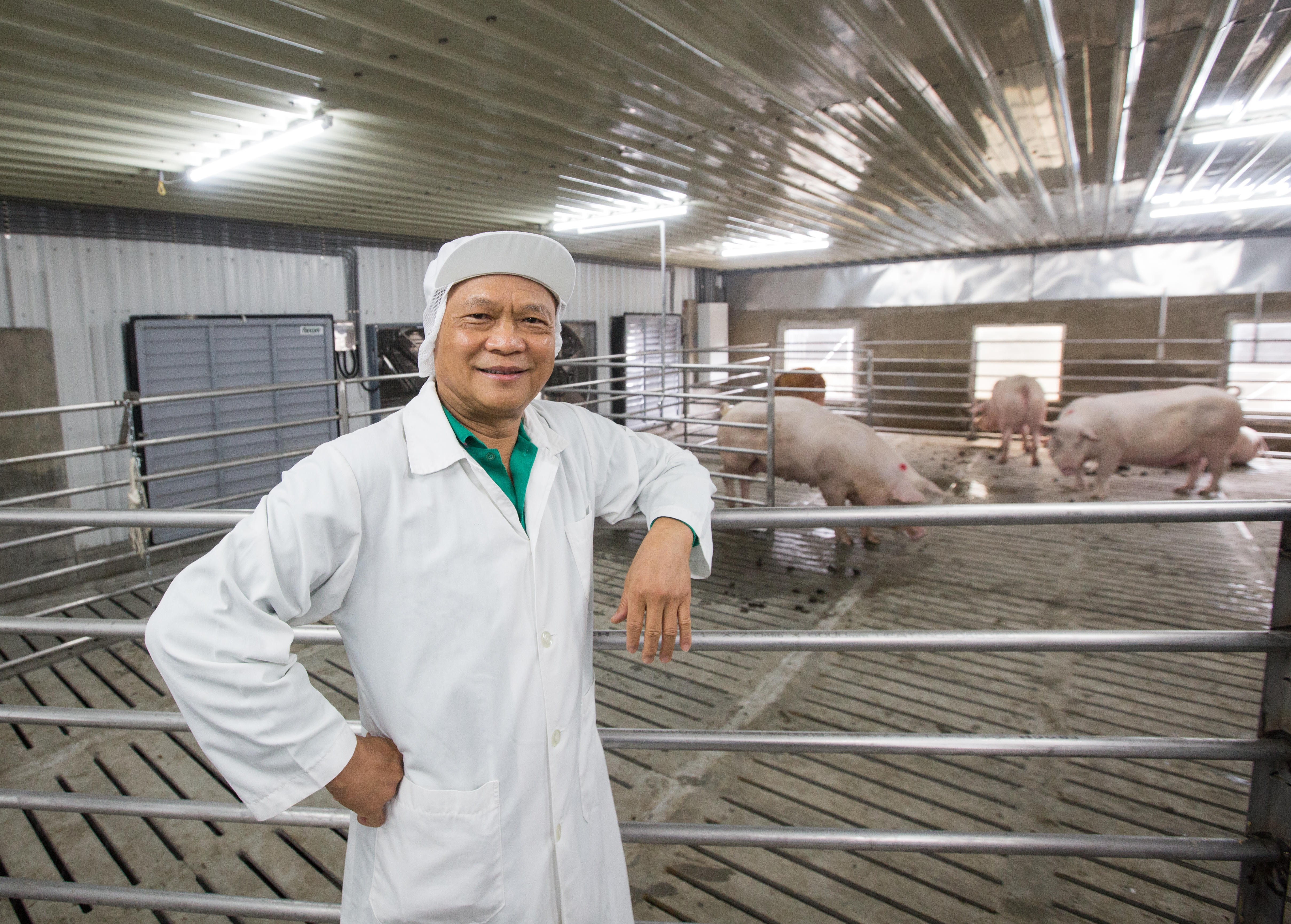 洪崇拼堅持要做就做最好的，以高規格打造亞洲第一座動物福利畜舍，讓母豬自由群養，切斷感染源，將無抗生素養殖育成率拉高至95％。