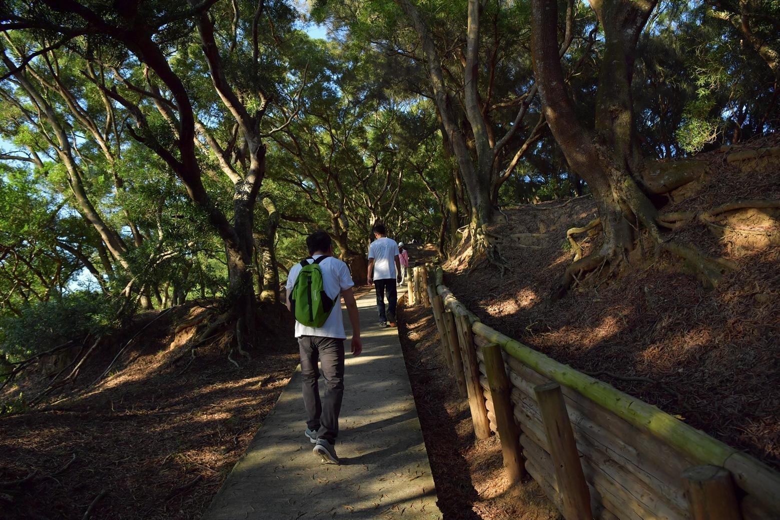 參加者在接近傍晚的時候登上大坵島，沿路觀賞環境及生態。