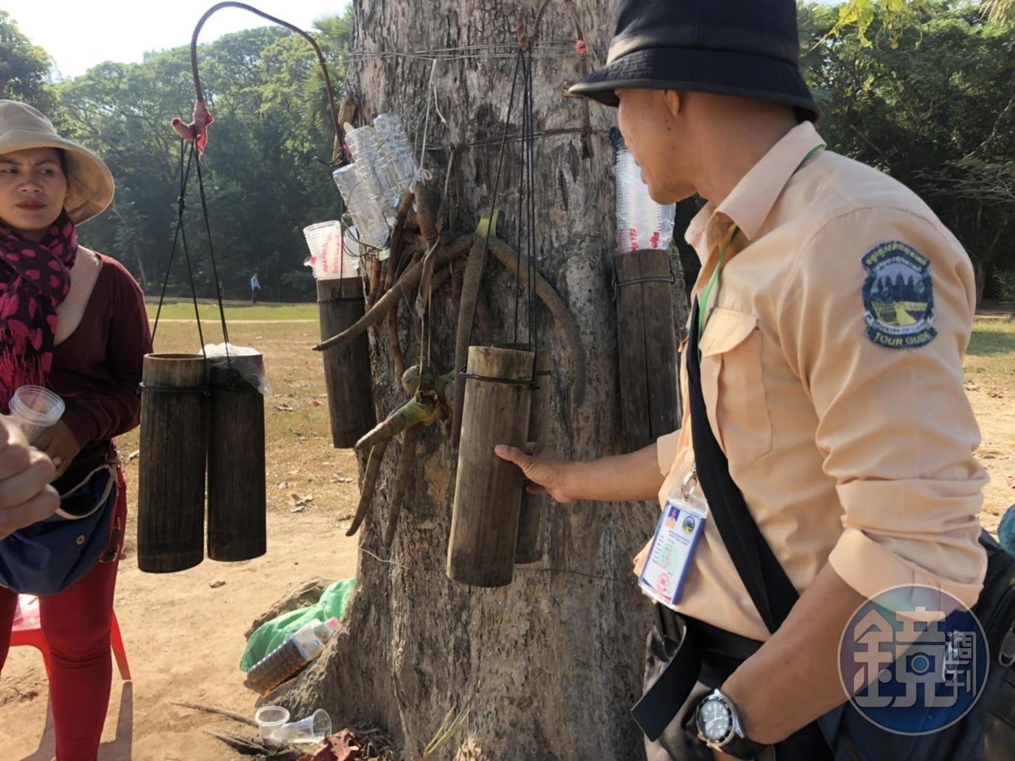 小吳提醒我們,身穿制服、手臂上有國家標章的才是合法的導覽員,並跟我們介紹路邊傳統飲料棕梠樹汁。