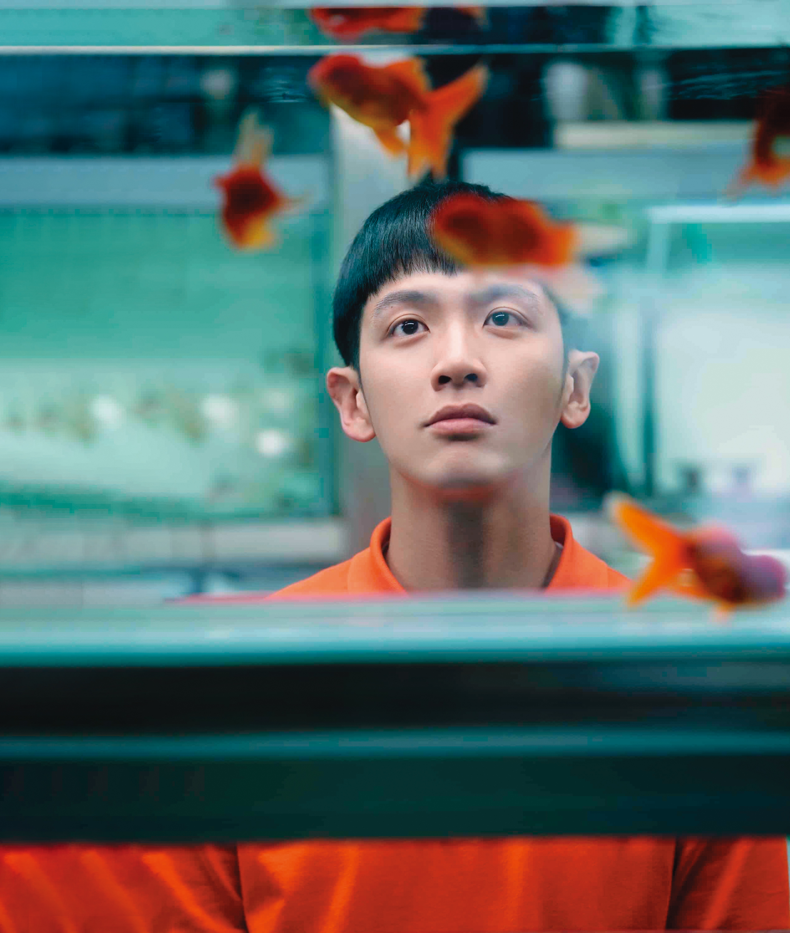 在水族館工作的柯震東，因被媽媽保護得太好，就像在魚缸裡的魚，無法突破。（甲上提供）