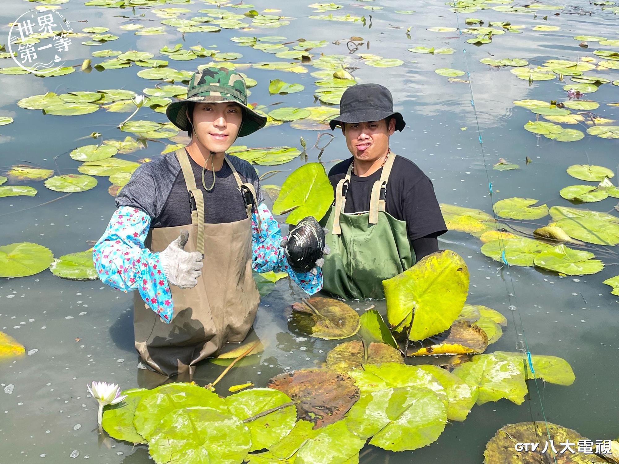 唐振剛（左）與張再興體驗採蓮子。（八大提供）