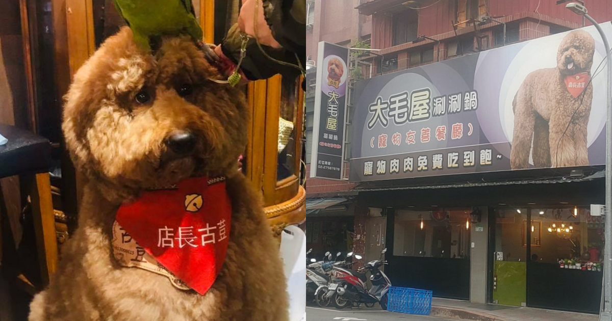 台北一家涮涮鍋店主打「寵物肉肉免費吃到飽」,嚇壞不少網友。(翻攝自大毛屋涮涮鍋臉書、台灣迷因臉書)