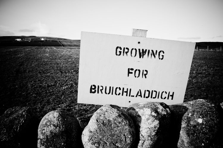 布萊迪(Bruichladdich)酒廠在艾雷島總共與19家農夫簽訂了契作。 (人頭馬君度 RÉMY COINTREAU提供)