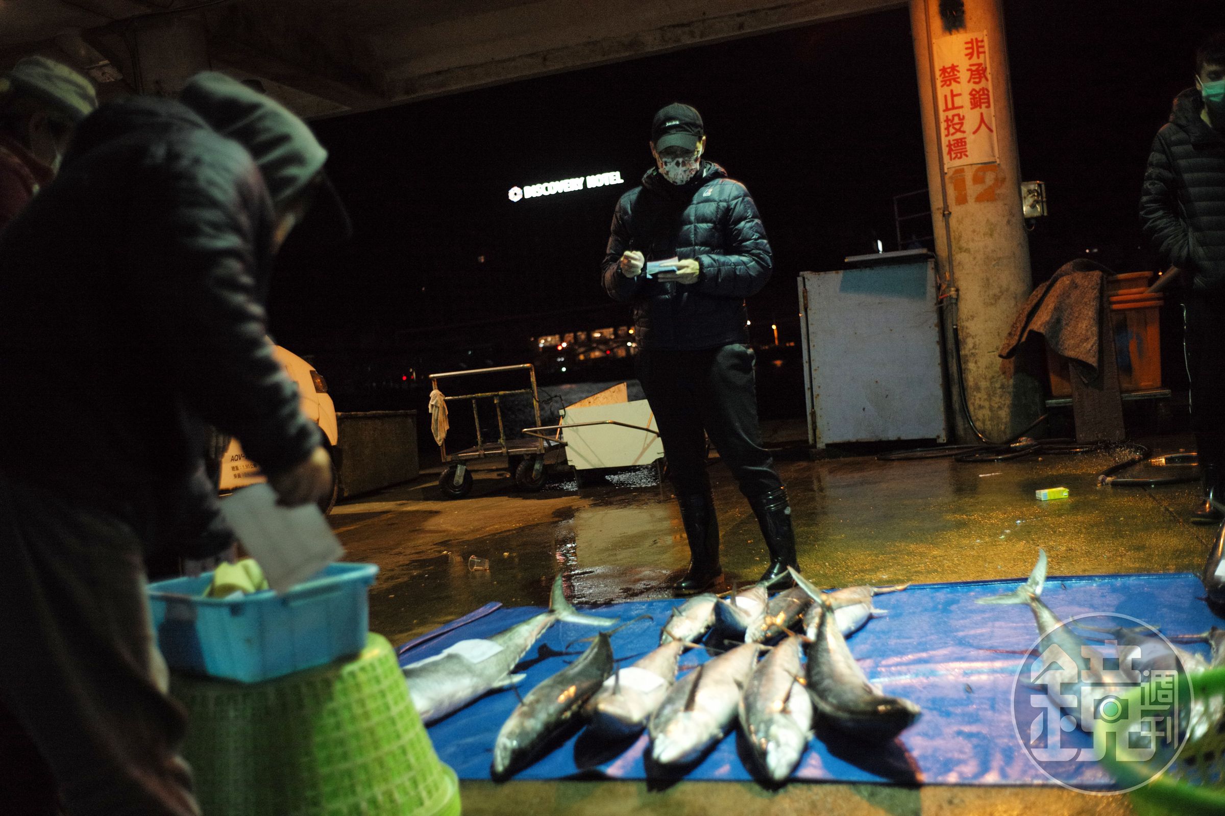 天還未亮，小阿姨便在「澎湖第三漁港」搶魚競標。