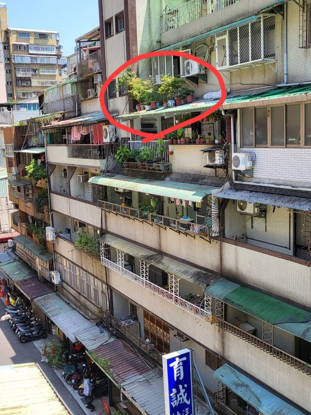 6樓鄰居將約10盆盆栽放置在5樓的遮雨棚上方，而且遮雨棚看起來是傾斜的，盆栽外圍也沒有做防護措施。（翻攝爆料公社）