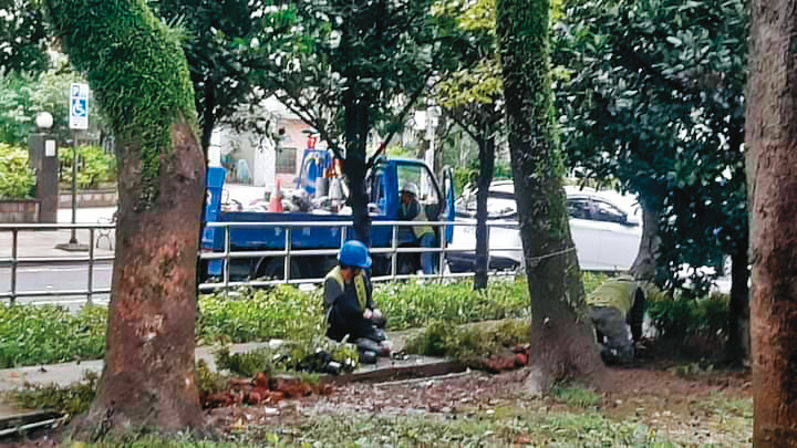 經濟困難的武德沒有去柬埔寨，他選擇兼職二份園藝工作。（武德提供）