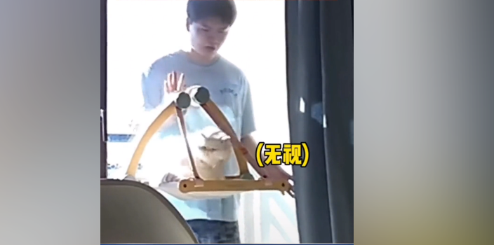 中國重慶男子被貓反鎖陽台，緊張拍門被貓無視。（翻攝自奔流視頻抖音影片）